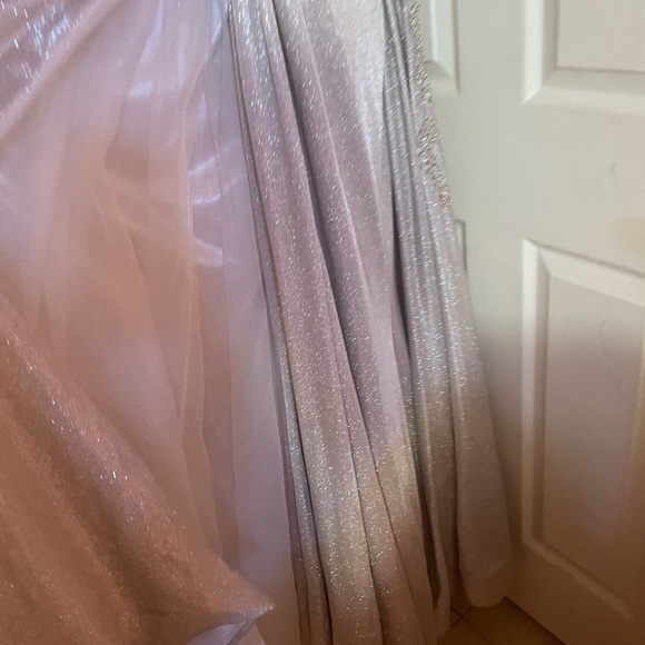 Beautiful Stunning Blush Dress with Attached Train!